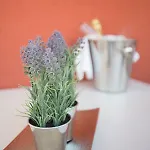 Apartman Art